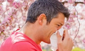 Allergies, Hay Fever and Allicin