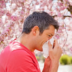Allergies, Hay Fever and Allicin